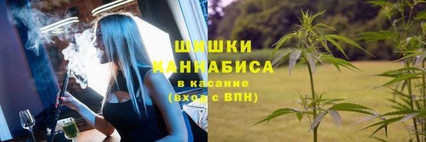 шишки Кинешма
