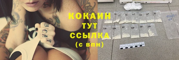 шишки Кинешма
