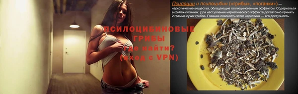 шишки Кинешма